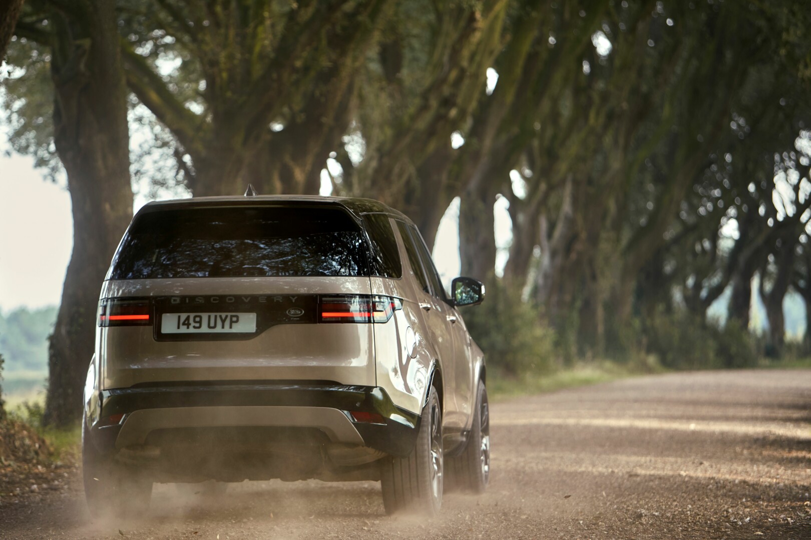 Land Rover Discovery rear view